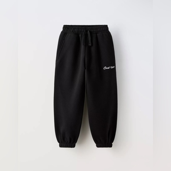 Zara Other - Zara kid’s EMBROIDERED PLUSH PANTS